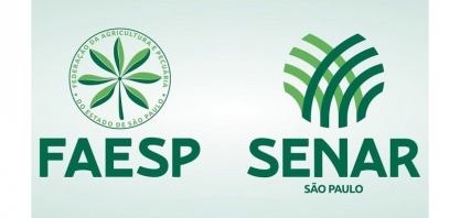 Mantida “flagrante desobediência” de decisão do Tribunal de Justiça