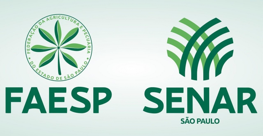 Mantida “flagrante desobediência” de decisão do Tribunal de Justiça