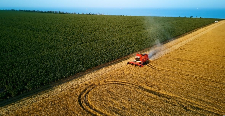 Vetos aos Fiagros serão derrubados no Congresso Nacional, diz FPA