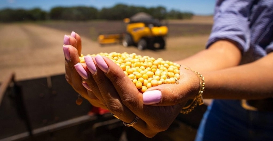 Preços pagos ao produtor rural aumentaram apenas 0,3% em 2024
