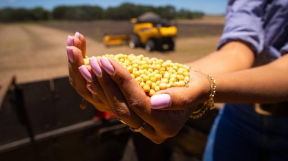 Preços pagos ao produtor rural aumentaram apenas 0,3% em 2024