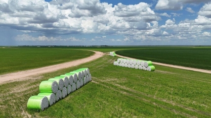 Projeção de exportação de algodão vai a recorde de 2,9 mi de toneladas