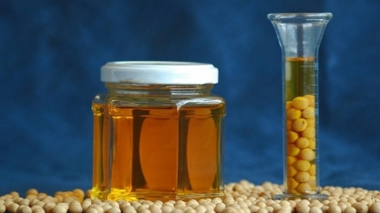 Setor quer desvincular produção de biodiesel da inflação do óleo de soja