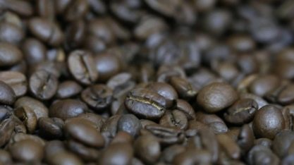 Preço do café amplia movimento de baixa em Nova York