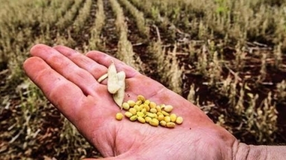 Gastos com política agrícola caíram 25% em 2024