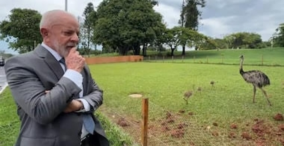 Vem aí o ovo de ema para todos - Por Carlos Andreazza