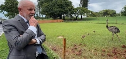 Vem aí o ovo de ema para todos - Por Carlos Andreazza