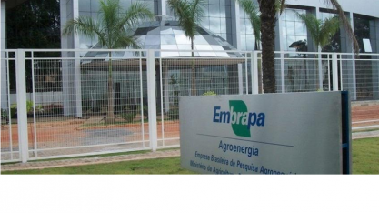 A Embrapa pede socorro – Por Xico Graziano