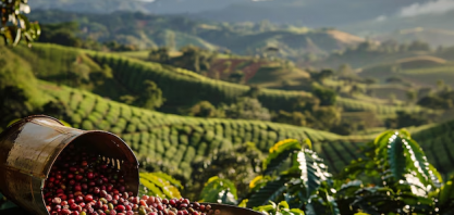 Café se prepara para sequência de maior alta de preços em 45 anos