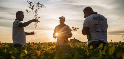Rally da Safra percorre 6 estados e reduz expectativa para a safra de soja