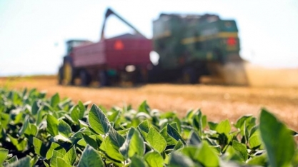 Agronegócio deve puxar a economia e fazer PIB crescer 2,3%, diz Fazenda