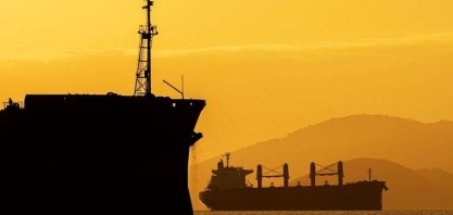 Paranaguá:Exportação de carne bovina por terminal de contêineres cresce 22%