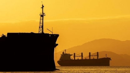 Paranaguá:Exportação de carne bovina por terminal de contêineres cresce 22%