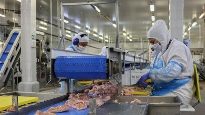 Brasil e Japão fecham acordo que garante exportação de frango