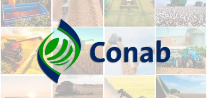 Conab tem cerca de meio bilhão de reais para formar estoques reguladores