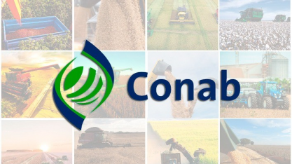 Conab tem cerca de meio bilhão de reais para formar estoques reguladores