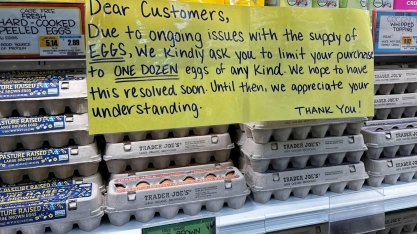 Gigante dos ovos dos EUA busca lucrar em meio à gripe aviária