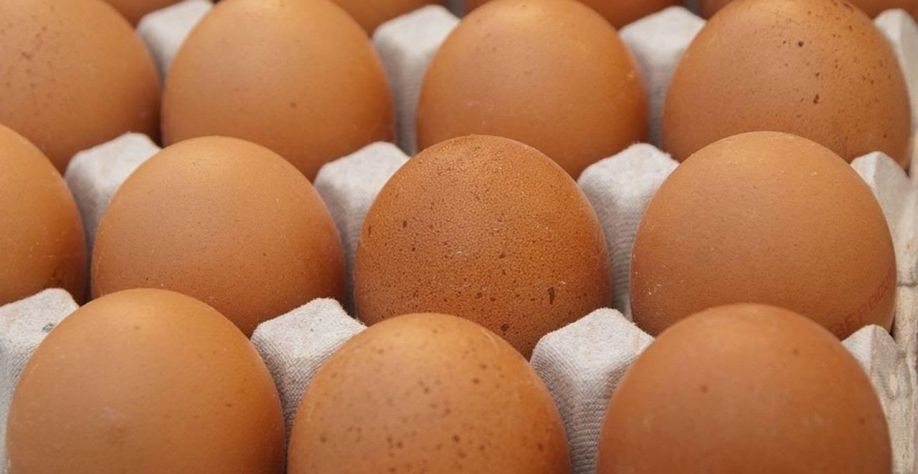 Disputa internacional pelo ovo deve manter preços aquecidos