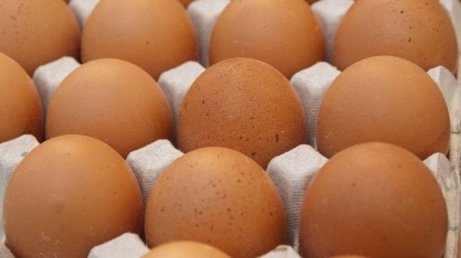 Disputa internacional pelo ovo deve manter preços aquecidos
