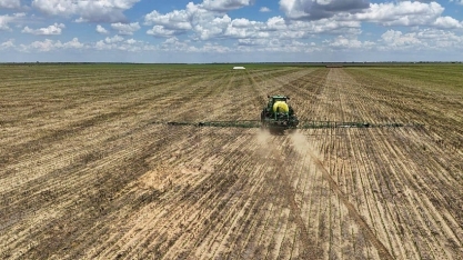 Céleres reduz previsão de safra de soja do Brasil com cortes no RS e MS