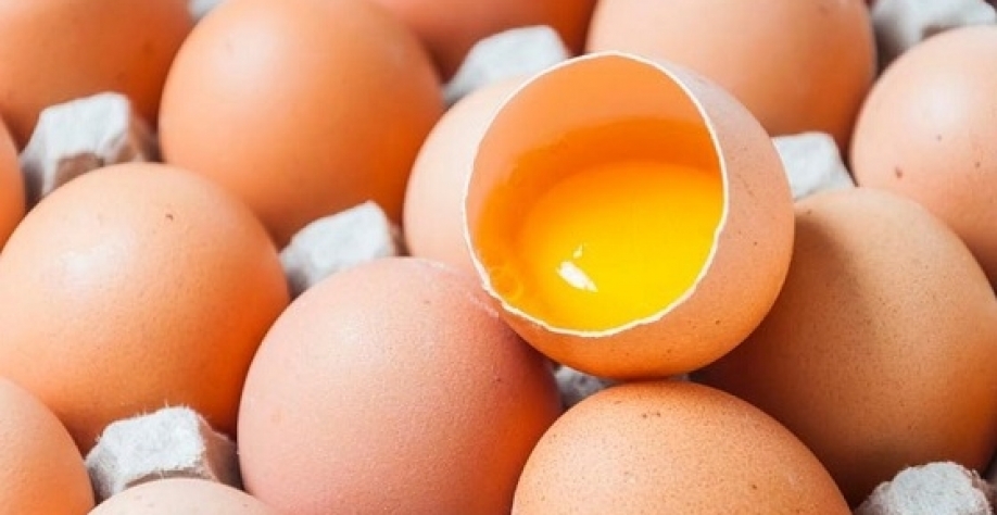 Exportações de ovos cresceram 57,5% em fevereiro; EUA comprou 93,4% a mais