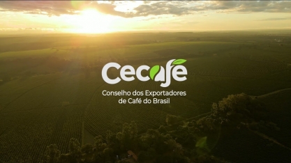 Cecafé aponta queda nos embarques de café do Brasil em fevereiro