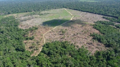 Maioria no STF decide que multa por crime ambiental é imprescritível