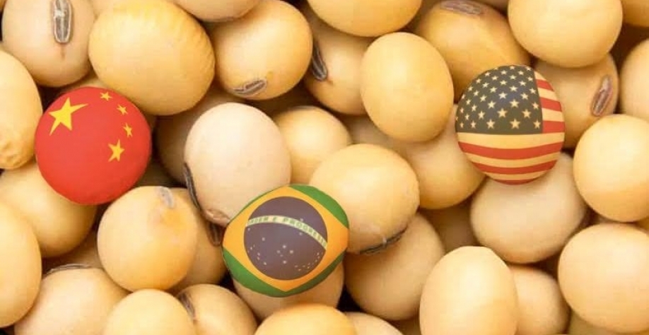 Produtores de soja dos EUA criticam tarifas de Trump à China