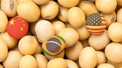 Produtores de soja dos EUA criticam tarifas de Trump à China