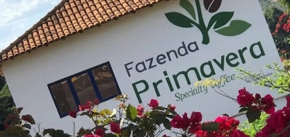 Grupo Montesanto Tavares pede recuperação judicial