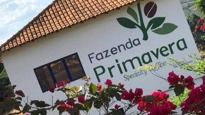 Grupo Montesanto Tavares pede recuperação judicial