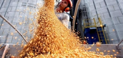 Agro contribuirá positivamente para o crescimento do PIB no 1º trimestre