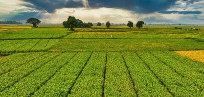 Agro encolhe no 2º ano do Governo Lula e tem pior resultado desde 2016