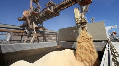  Projeção de exportação de soja ultrapassa 100 milhões em 2025