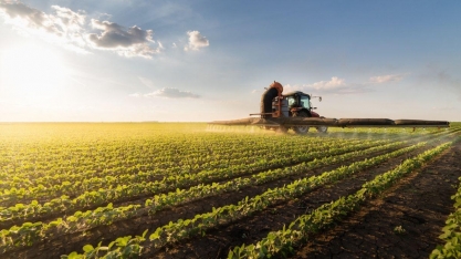 Desaceleração: Agroindústria avança 2% em 2024, mas recua em dezembro 