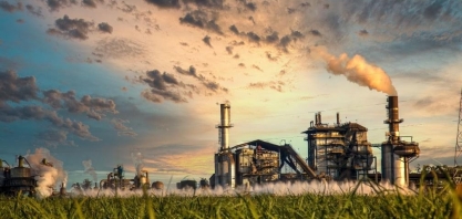 Produção de açúcar deve crescer; e o milho, sustentar a oferta de etanol