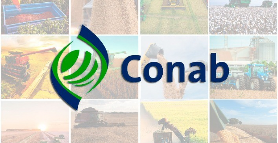 Se clima ajudar, estoque interno de alimentos sobe 162% no ano