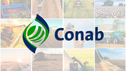 Se clima ajudar, estoque interno de alimentos sobe 162% no ano