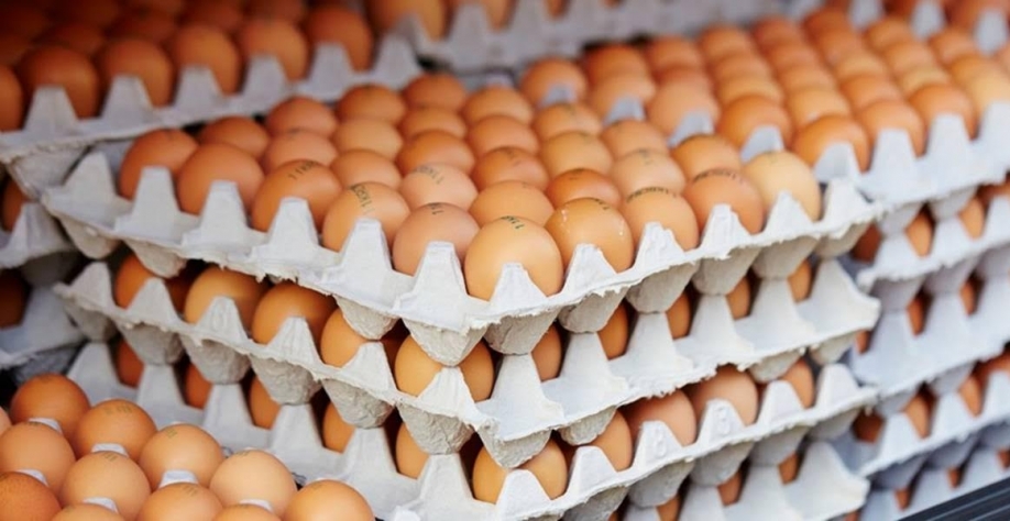 Indústria projeta aumento de 62% nas exportações de ovos do Brasil em 2025