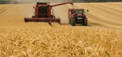 IGC eleva projeção da safra global de grãos para 2,306 bi de toneladas