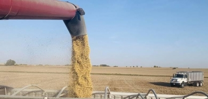 China suspende importação de soja de três empresas dos EUA