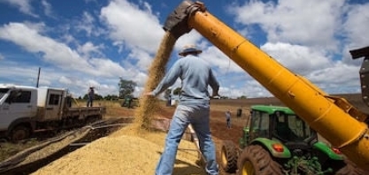 Em 10 anos, cursos ligados ao agro crescem mais de 1.000% no Brasil