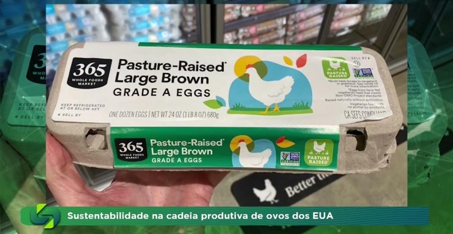 Ovo é vendido por unidade e vira 'luxo' em Nova York com disparada do preço