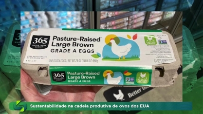 Ovo é vendido por unidade e vira 'luxo' em Nova York com disparada do preço