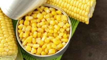 Produção global de milho deve aumentar em 2025/26