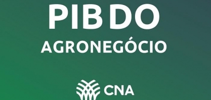 PIB do agronegócio recua 3,2% em 2024 e se destaca entre setores negativos