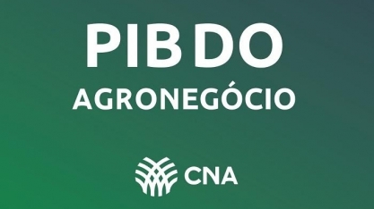 PIB do agronegócio recua 3,2% em 2024 e se destaca entre setores negativos