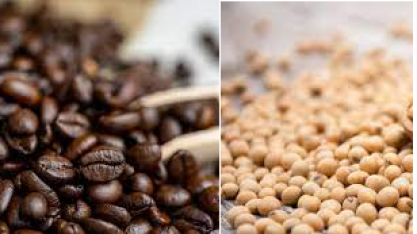 No preço alto, produtor de café é mais prudente que o da soja