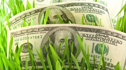 Bilionários do agro brasileiro somam fortuna de US$ 56,8 bilhões