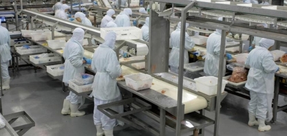 Técnicos dos EUA vêm ao Brasil inspecionar frigoríficos em maio